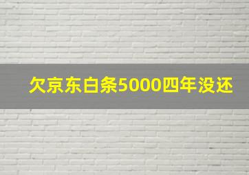 欠京东白条5000四年没还