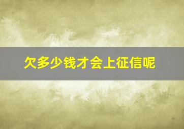 欠多少钱才会上征信呢