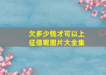 欠多少钱才可以上征信呢图片大全集