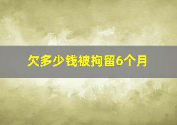 欠多少钱被拘留6个月