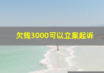 欠钱3000可以立案起诉