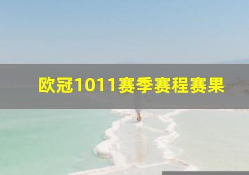 欧冠1011赛季赛程赛果