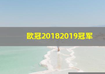 欧冠20182019冠军