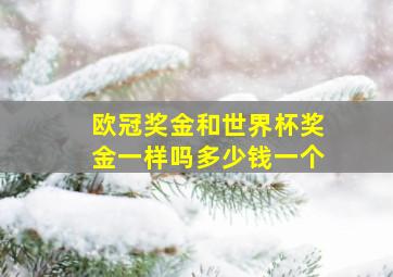 欧冠奖金和世界杯奖金一样吗多少钱一个