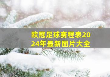 欧冠足球赛程表2024年最新图片大全