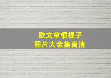 欧文拿根棍子图片大全集高清