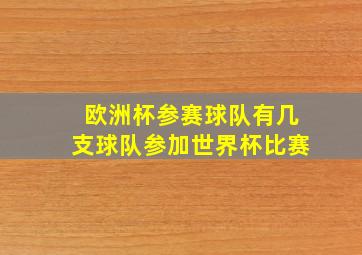 欧洲杯参赛球队有几支球队参加世界杯比赛