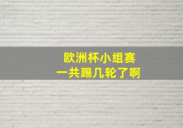 欧洲杯小组赛一共踢几轮了啊