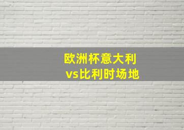 欧洲杯意大利vs比利时场地