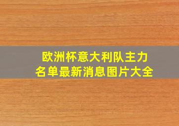 欧洲杯意大利队主力名单最新消息图片大全