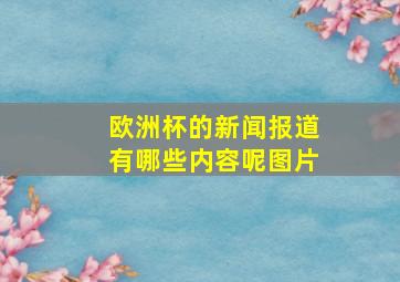 欧洲杯的新闻报道有哪些内容呢图片