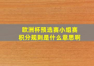 欧洲杯预选赛小组赛积分规则是什么意思啊