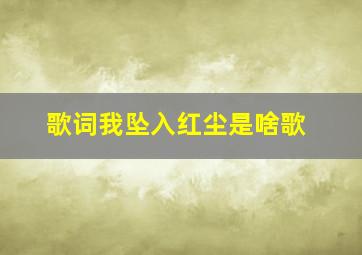 歌词我坠入红尘是啥歌