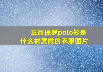 正品保罗polo衫是什么材质做的衣服图片