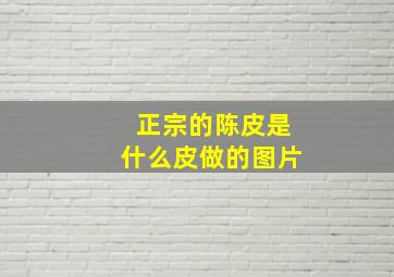 正宗的陈皮是什么皮做的图片