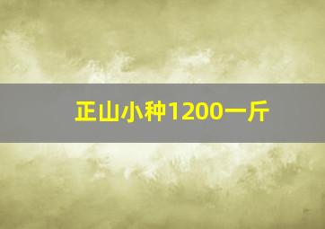 正山小种1200一斤