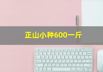 正山小种600一斤