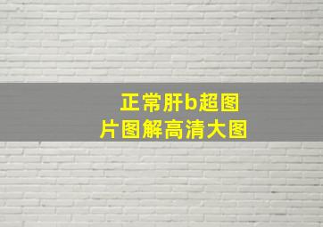 正常肝b超图片图解高清大图