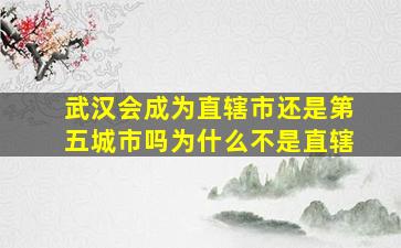 武汉会成为直辖市还是第五城市吗为什么不是直辖