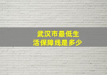 武汉市最低生活保障线是多少