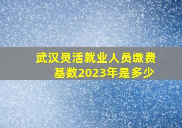 武汉灵活就业人员缴费基数2023年是多少