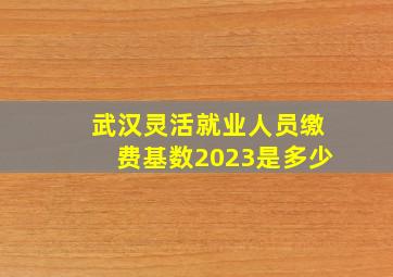 武汉灵活就业人员缴费基数2023是多少