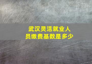 武汉灵活就业人员缴费基数是多少