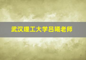 武汉理工大学吕曦老师