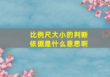 比例尺大小的判断依据是什么意思啊