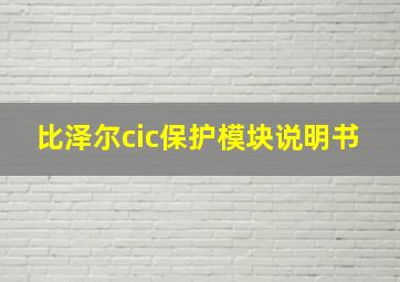 比泽尔cic保护模块说明书