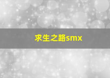 求生之路smx