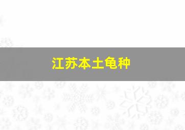 江苏本土龟种