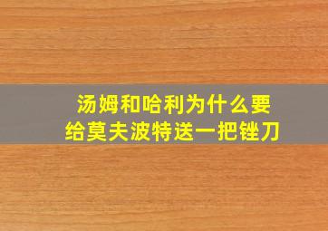 汤姆和哈利为什么要给莫夫波特送一把锉刀