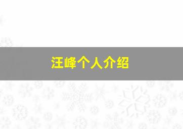 汪峰个人介绍