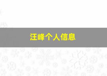 汪峰个人信息