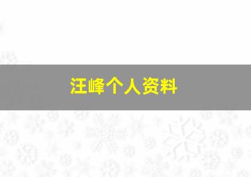 汪峰个人资料