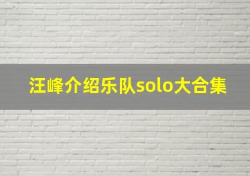 汪峰介绍乐队solo大合集