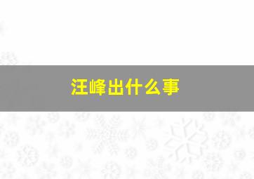 汪峰出什么事