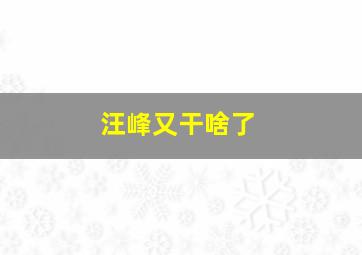 汪峰又干啥了