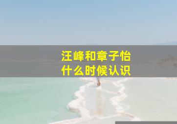 汪峰和章子怡什么时候认识