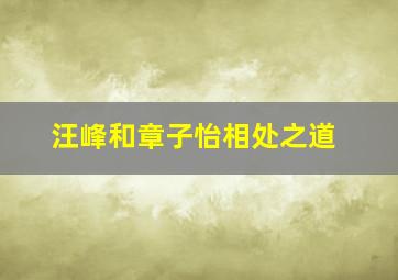 汪峰和章子怡相处之道