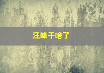 汪峰干啥了