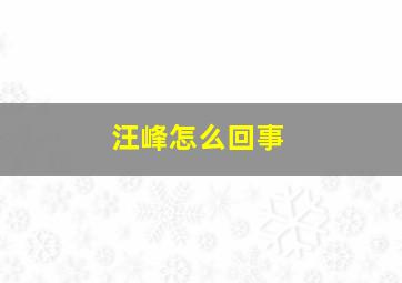 汪峰怎么回事