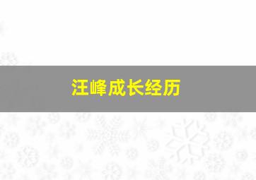 汪峰成长经历