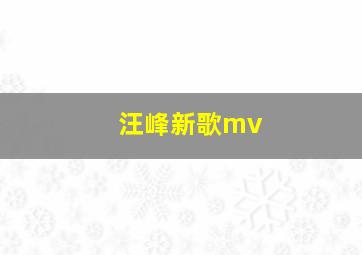 汪峰新歌mv