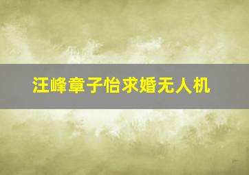 汪峰章子怡求婚无人机