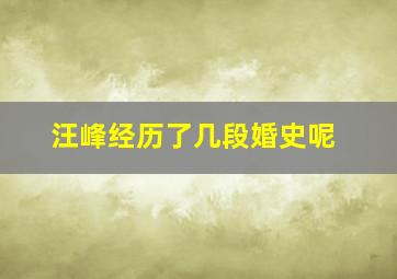 汪峰经历了几段婚史呢