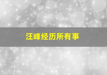 汪峰经历所有事