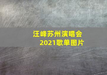 汪峰苏州演唱会2021歌单图片