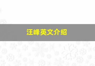 汪峰英文介绍